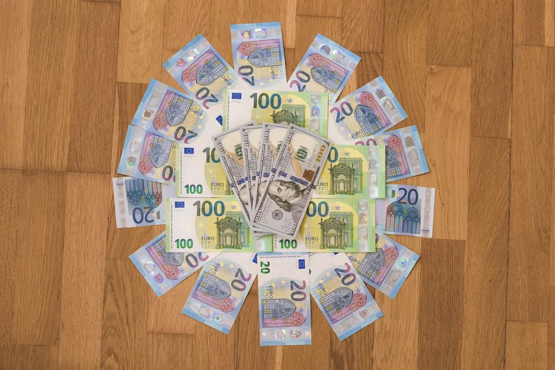 Maximaal terug — 10 and 20 euro banknotes